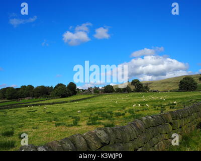 Sheep grazing with Stoodley Pike in the hills Stock Photo