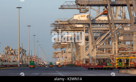 ROTTERDAM, NETHERLANDS - JUL 9, 2013: Automated Guided Vehicles (AGV) moving shipping containers in a container  terminal in the port of Rotterdam. Stock Photo