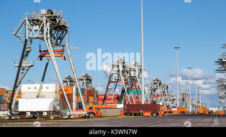 ROTTERDAM, NETHERLANDS - SEP 2, 2017: Automated Guided Vehicles moving shipping containers in a container  terminal in the port of Rotterdam. Stock Photo