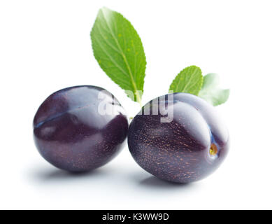 Fresh plums with branch with leaf isolated on white background. Stock Photo