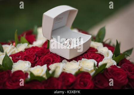 wedding rings in heart of roses Stock Photo
