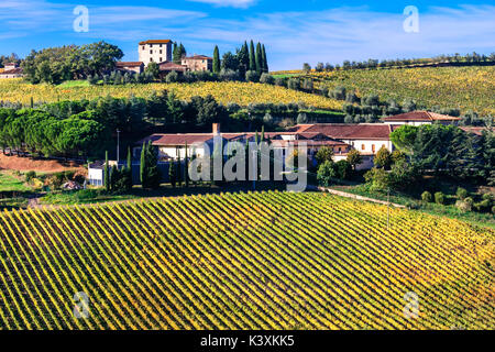 Scenic countryside and landscape of Tuscany - golden autumn vineyards. Italy Stock Photo