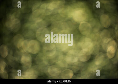 Colorful bokeh background. abstract blurred circles in nature colors. Copyspace for design and text. Stock Photo