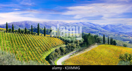 Autumn scenery- golden vineyards of Tuscany. Chianti - main vine region of Italy