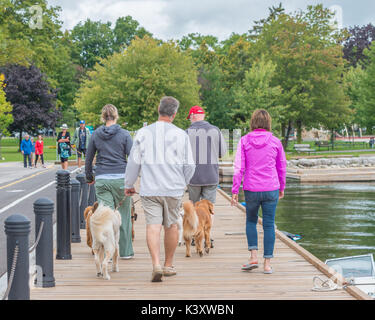 People walking their dogs along the Couchiching Park boardwalk in Orillia Ontario Canada. Stock Photo
