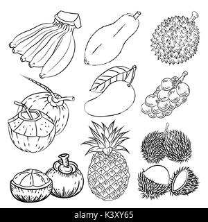 Hand drawn set of different tropical fruits with papaya, mango, pineapple, coconut, mangosteen, durian, rambutan and langsat. Vintage hand drawn sketc Stock Vector