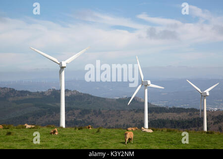 Wind Turbine at Vixia Herbeira, Ortigueira, Galicia; Spain Stock Photo