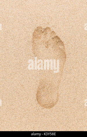 Human footprint in wet yellow sand on the beach Stock Photo