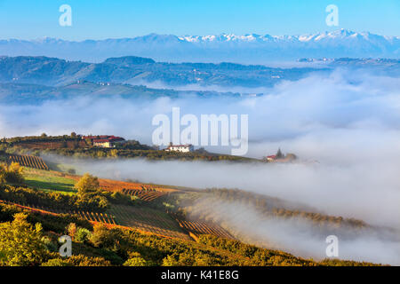 View of hills and vineyards covered with morning fog in autumn in Piedmont, Northern Italy. Stock Photo