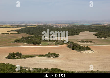 A landscape of cultivated corn fields in Aragon, Spain Stock Photo