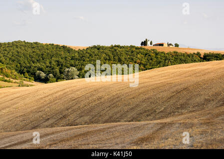The famous landscape of Val d'Orcia, Tuscany Italy Europe EU Stock Photo