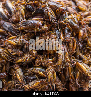 Exotic Asian food. Fried grasshoppers close-up as street food in Myanmar (Burma) Stock Photo