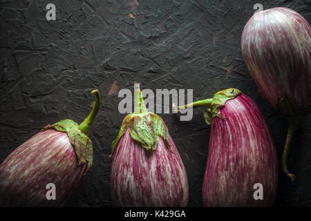 Eggplant in stripes on a dark gray background horizontal Stock Photo