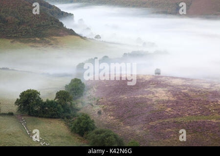 Dawn mist in the Hole of Horcum in the North York Moors Stock Photo