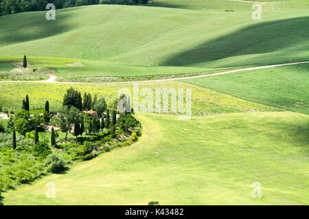 Rolling green hills with farmhouse and trees Photographed in Umbria, Italy Stock Photo