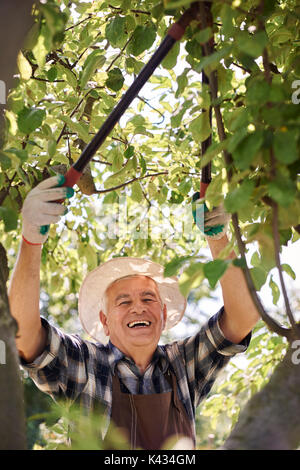 I must cut off all of dead branches Stock Photo