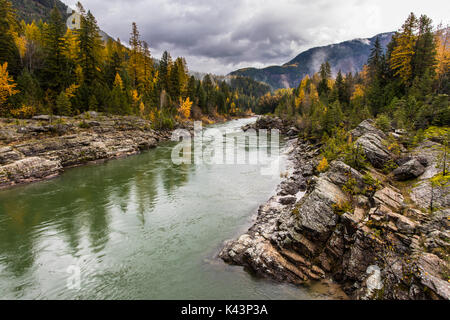 Fall foliage changes colors along the Middle Fork Flathead River at the Glacier National Park October 18, 2016 near Essex, Montana.  (photo by Jacob W. Frank via Planetpix) Stock Photo