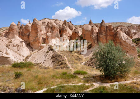 In Kapadokia, Turkey, the area of the Devrent Valley you can see these rock formations typical with this rosy color. Stock Photo