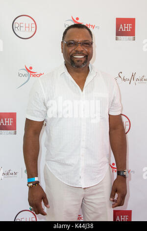 Beverly Hills, California, USA. 3rd September 2017.  TV personality Petri Hawkins-Byrd attends the 14th Annual Sunshine Beyond Summer Celebration. Stock Photo