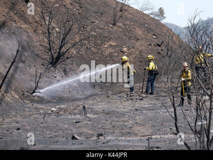 Los Angeles, USA. 4th Sep, 2017. Firefighters douse hot spots from a wildfire in the Sunland-Tujunga of Los Angeles, the United States, on Sept. 4, 2017. More than 1,000 firefighters worked for the fourth day to put out a 7,000-acre wildfire, with 30 percent containment, according to the Los Angeles Fire Department. Credit: Zhao Hanrong/Xinhua/Alamy Live News Stock Photo