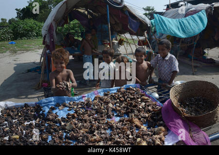 Lahore, Pakistan. 05th Sep, 2017. Gypsy family hang strips of salted meat collected from different places preserve for longer time to use during the Muslims Eid al-Adha or Festival of Sacrifice. Credit: Rana Sajid Hussain/Pacific Press/Alamy Live News Stock Photo