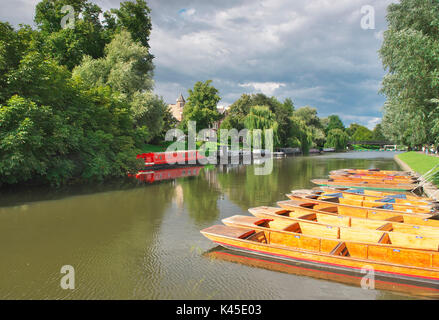 Peaceful scene on the River Cam in Cambridge during a quiet summer morning on the river Stock Photo