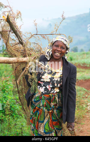 Portrait of a middle aged Ugandan woman holding fire wood in the rural countryside of Western Uganda Stock Photo