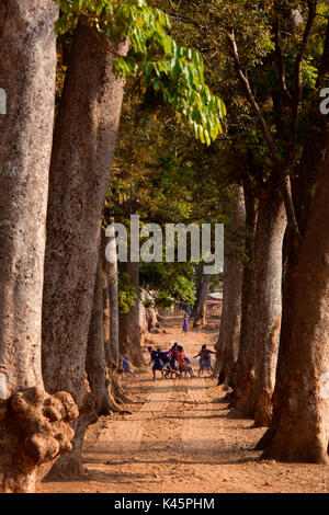 Africa,Malawi,Lilongwe district. Foreshortening of a Malawian village Stock Photo