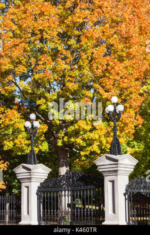 Canada, Ontario, Ottawa, capital of Canada, Rideau Hall Park, autumn Stock Photo