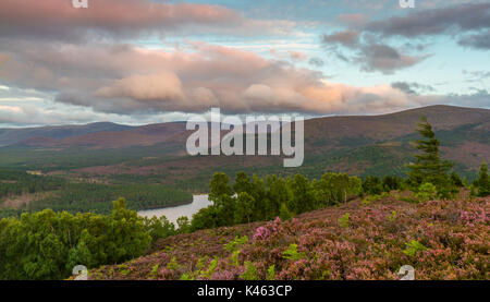 The Cairngorm mountains and Loch An Eilein from Ord Ban, Rothiemurchus near Aviemore, Scotland, UK Stock Photo