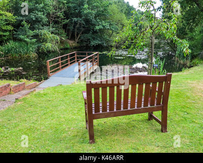 An empty wooden bench overlooking a pond in the UK Stock Photo