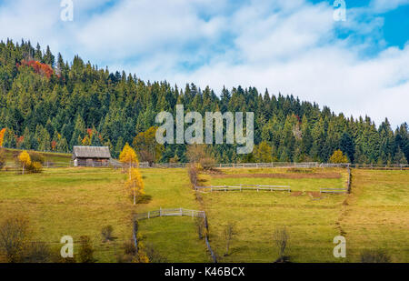 agricultural fields on hillside near forest. lovely autumnal scenery in mountains Stock Photo