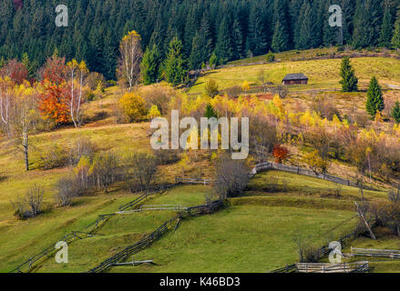 agricultural fields on hillside near forest. lovely autumnal scenery in mountains Stock Photo