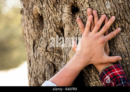 Man put hand on old tree trunk. Male palm on aged oak tree bark. Stock Photo