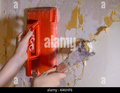 Decorating / redecorating: Woman's hands holding an electric steamer against a wall, while scraping old wallpaper from a room in a house. England, UK. Stock Photo
