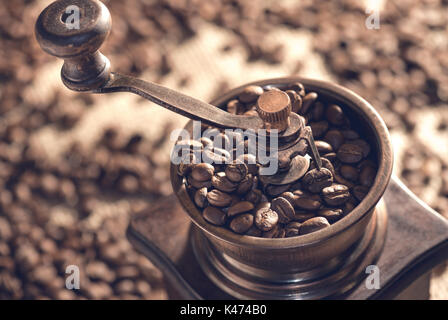 Roasted coffee beans in the coffee grinder. Stock Photo