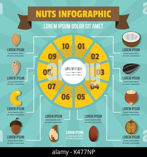 Nuts infographic, flat style Stock Vector