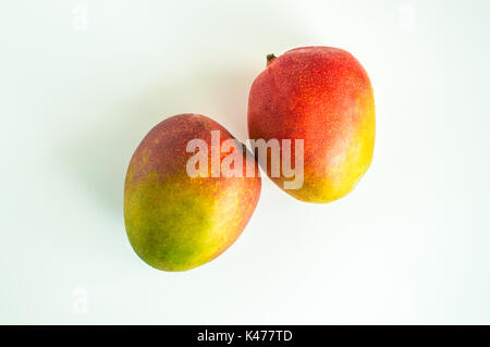two mangoes isolated on white Stock Photo