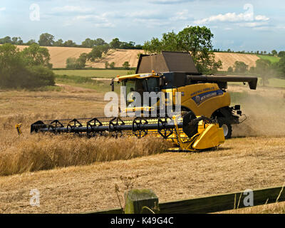 Modern, yellow New Holland CR9090 combine harvester harvesting wheat crop in Leicestershire field Stock Photo