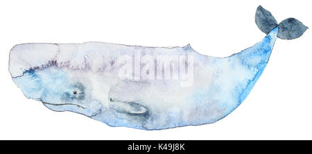 Watercolor blue whale Stock Photo
