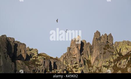 Rugged mountain peaks with two golden eagles, Aquila Chrysaetos, flying high in the distance Stock Photo