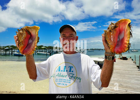 Edward Pinder showing Strombus, Guana Cay, Abacos Islands, Bahamas Stock Photo