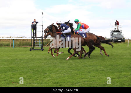 Horse Racing. And They're Off - Brighton races  Route Mobile Handicap 10/8/17 Stock Photo