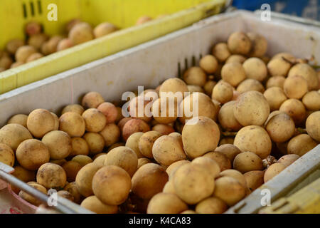 Asian fruit, Tasty Lansium parasiticum or Langsat, Longkong and Duku in fruit basket. Stock Photo