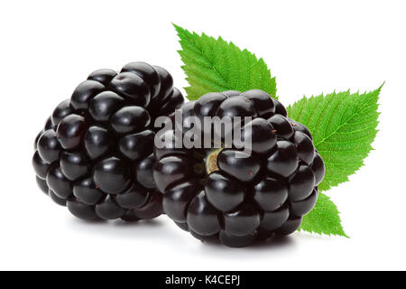 Closeup of ripe blackberries with leaves isolated on the white background, clipping path included. Stock Photo