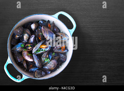 Steamed Mussels Stock Photo