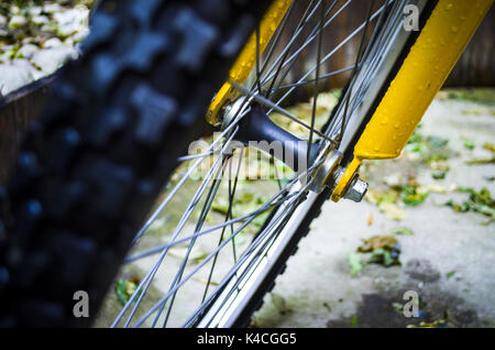 Bicyclist Stock Photo