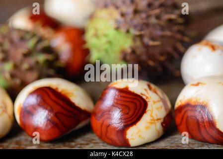 group of white and brown unripe chestnuts closeup Stock Photo