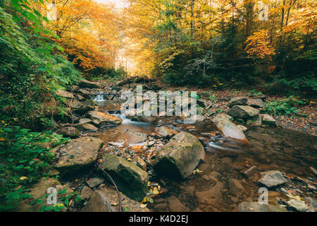 Small waterfall in autumn forest Stock Photo