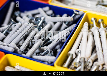 Screws segregated in plastic colored containers. Box for builder and DIY. Black background. Stock Photo